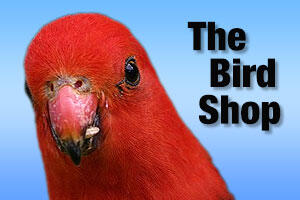 the bird shop